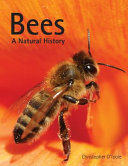 Bees : a natural history /