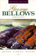George Bellows : American artist /
