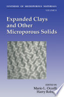 Expanded Clays and Other Microporous Solids /