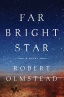 Far bright star : a novel /