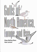 Gulls of North America, Europe, and Asia /