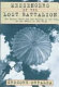 Messengers of the lost battalion : the heroic 551st and the turning of the tide at the Battle of the Bulge /
