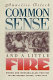 Common sense & a little fire : women and working-class politics in the United States, 1900-1965 /