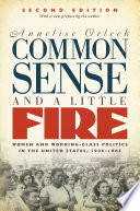 Common sense & a little fire : women and working-class politics in the United States, 1900-1965 /