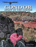 Condors in canyon country : the return of the California condor to the Grand Canyon region /