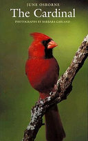 The cardinal /