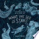 What we see in the stars : an illustrated tour of the night sky /