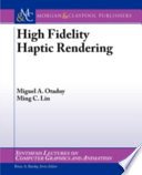 High fidelity haptic rendering   /