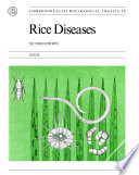 Rice diseases /