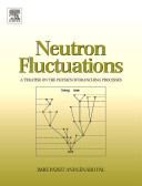 Neutron fluctuations : a treatise on the physics on branching processes /