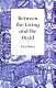 Between the living and the dead : a perspective on witches and seers in the early modern age /