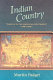 Indian country : travels in the American Southwest, 1840-1935 /