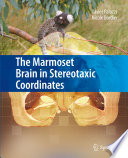 The marmoset brain in stereotaxic coordinates /