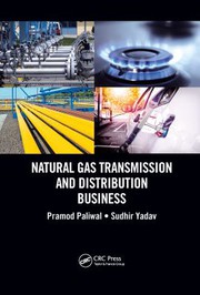 Natural gas transmission and distribution business /