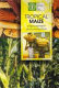 Tropical maize : improvement and production /