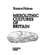 Mesolithic cultures of Britain /