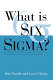 What is six sigma? /