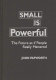 Small is powerful : the future as if people really mattered /