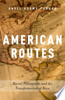 American routes : racial palimpsests and the transformation of race /