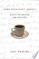 Some necessary angels : essays on writing and politics /