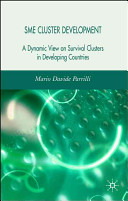 SME cluster development : a dynamic view of survival clusters in developing countries /