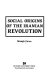 Social origins of the Iranian revolution /