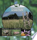 The ecosystem of a grassy field /