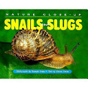 Snails and slugs /