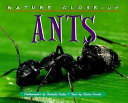Ants /
