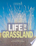 Life in a grassland /