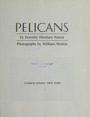 Pelicans /