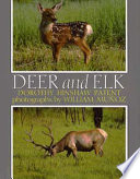 Deer and elk /