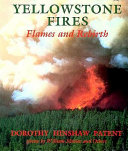 Yellowstone fires : flames and rebirth /