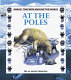 At the poles /