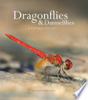Dragonflies & damselflies : a natural history /