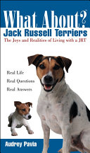 What about Jack Russell terriers? /