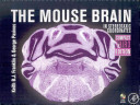 The mouse brain in stereotaxic coordinates /