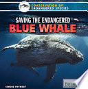 Saving the endangered blue whale /