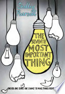 The seventh most important thing /