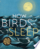 How birds sleep /