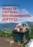 What is critical environmental justice? /