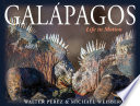 Galápagos : life in motion /