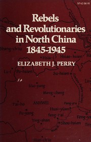 Rebels and revolutionaries in North China, 1845-1945 /