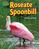 Roseate spoonbill : pretty in pink /