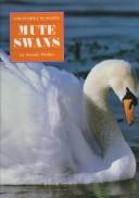 Mute swans /