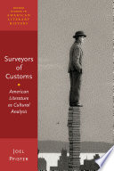 Surveyors of customs : American literature as cultural analysis /