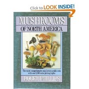 Mushrooms of North America /