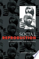 Social reproduction : the political economy of the labour market /