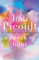 A spark of light : a novel /