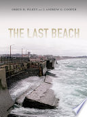 The last beach /
